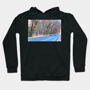 Fall in Yosemite Hoodie